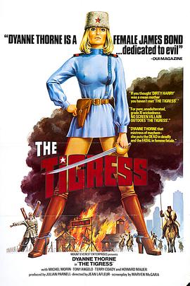 seo排名优化软件推举火31星